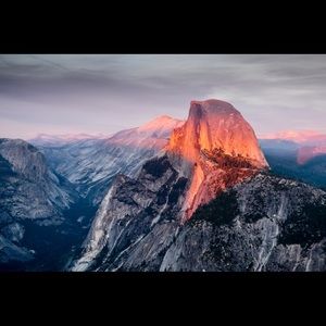 Meet your Posher, Tylor